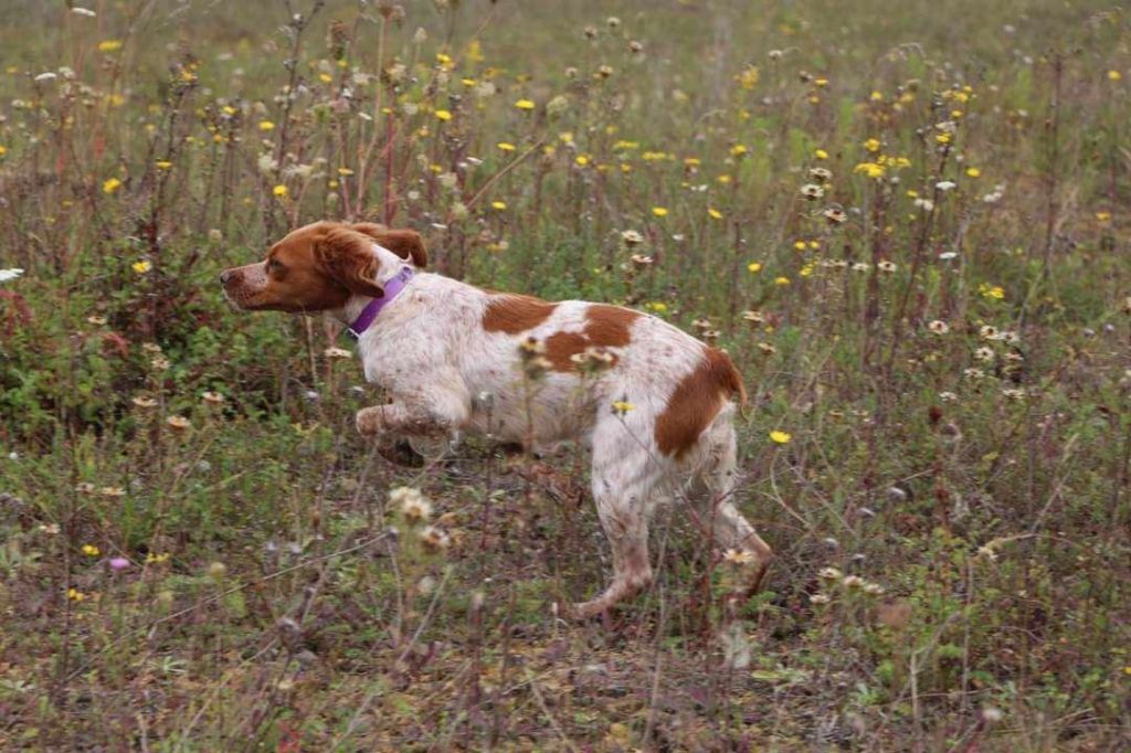 Raïley De La Rivière Ouareau